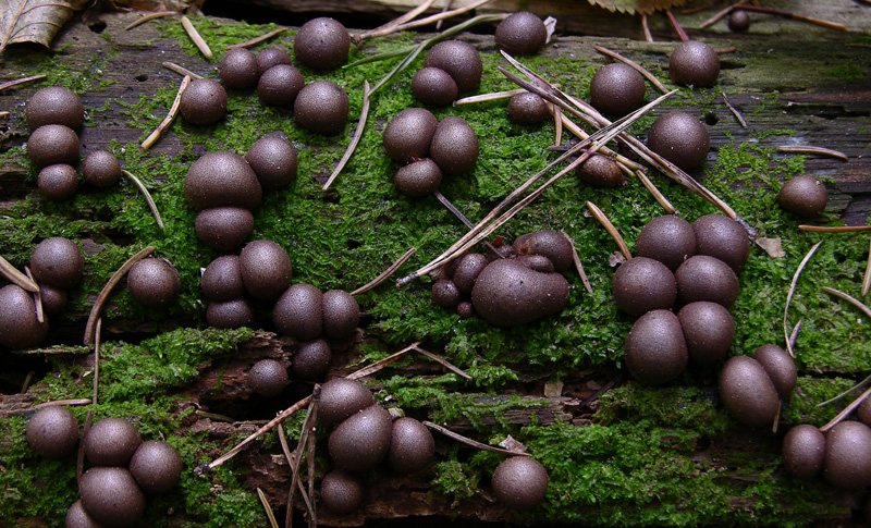Facili,meno facili...per allenamento...